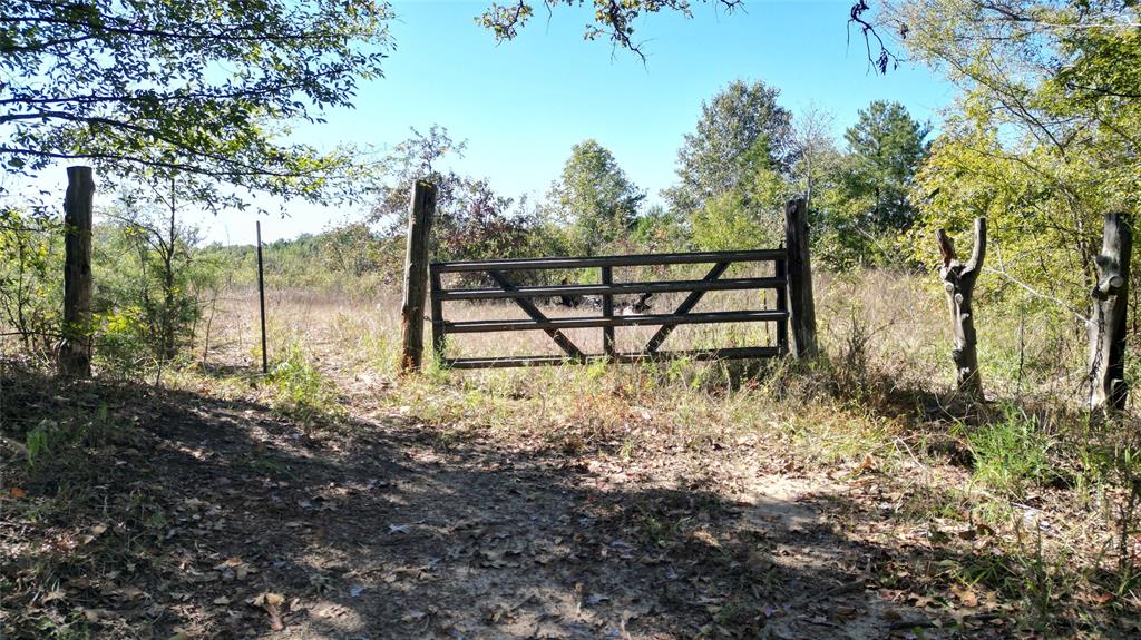 A204 - HARRISON COUNTY SCHOOLA123 - DONAHO, WILSON - Land