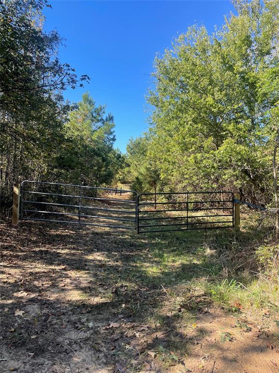 A204 - HARRISON COUNTY SCHOOLA123 - DONAHO, WILSON - Land