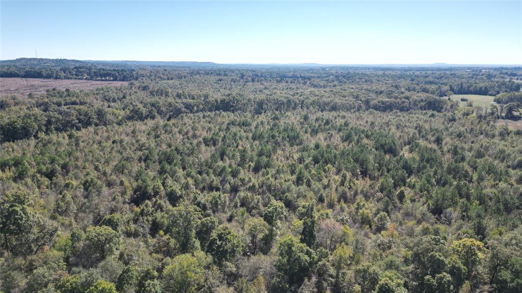 A204 - HARRISON COUNTY SCHOOLA123 - DONAHO, WILSON - Land