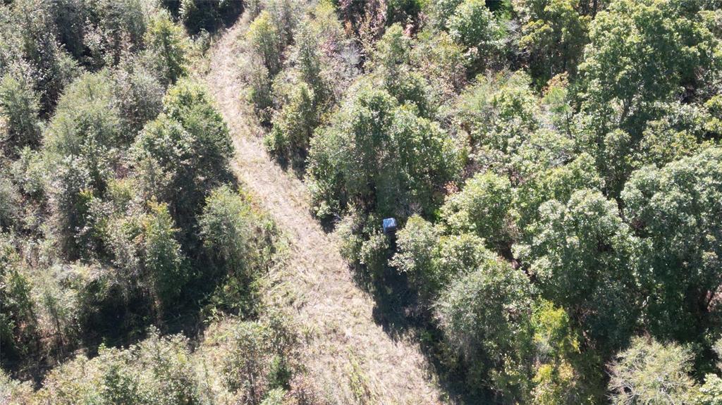 A204 - HARRISON COUNTY SCHOOLA123 - DONAHO, WILSON - Land