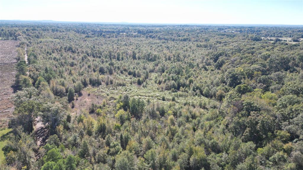 A204 - HARRISON COUNTY SCHOOLA123 - DONAHO, WILSON - Land