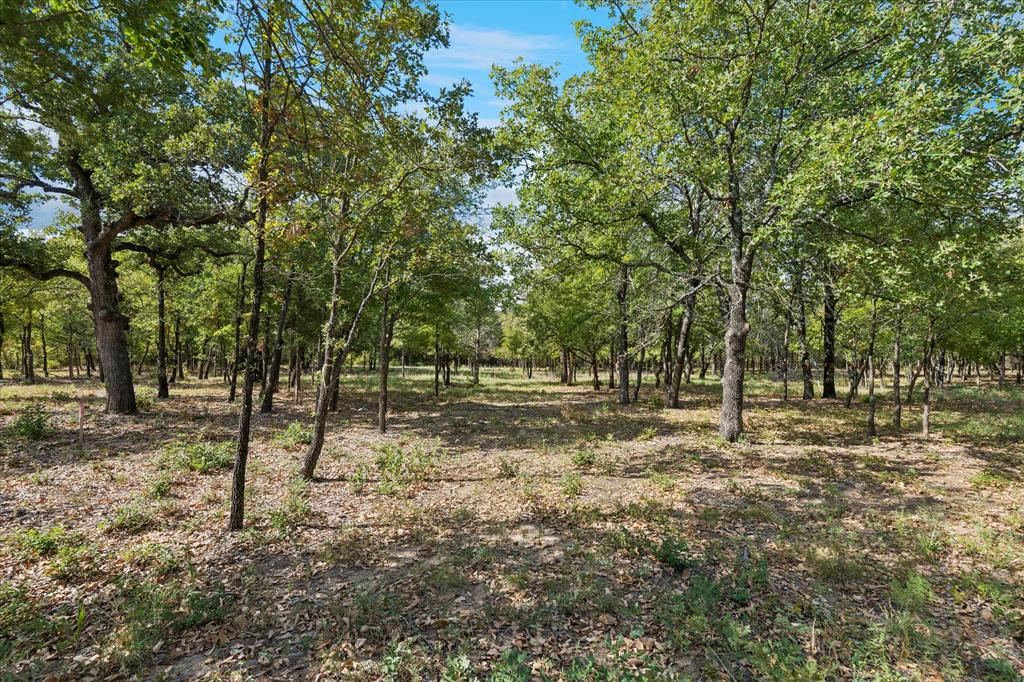 8965 Indian Knoll Trail