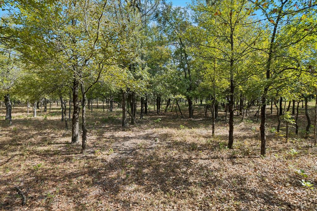 8965 Indian Knoll Trail