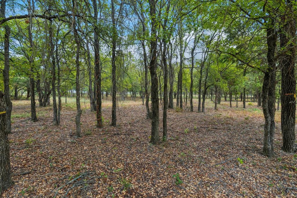 8965 Indian Knoll Trail