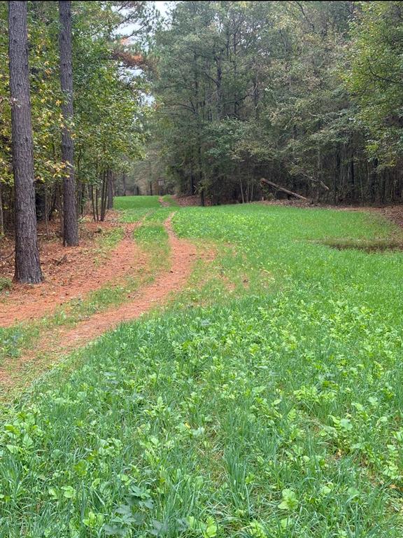 00 Old Plain Dealing Road