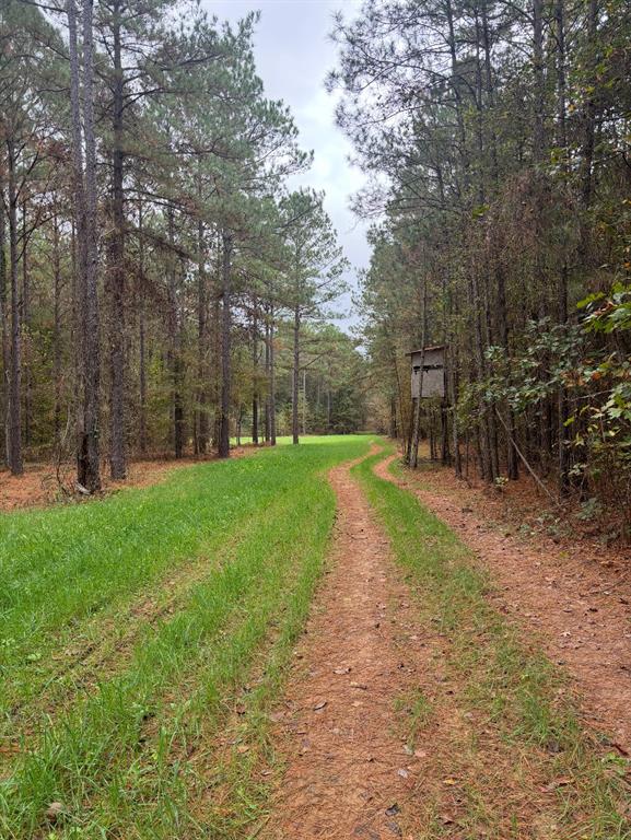 00 Old Plain Dealing Road