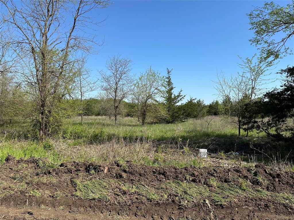 Tract 12 County Road 2951