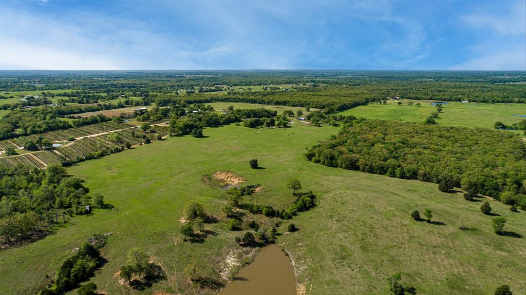 TBD County Road 1123 - Photo 4
