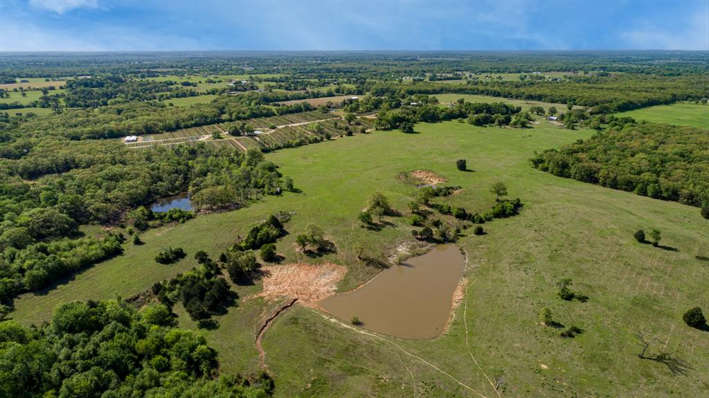 TBD County Road 1123 - Photo 3