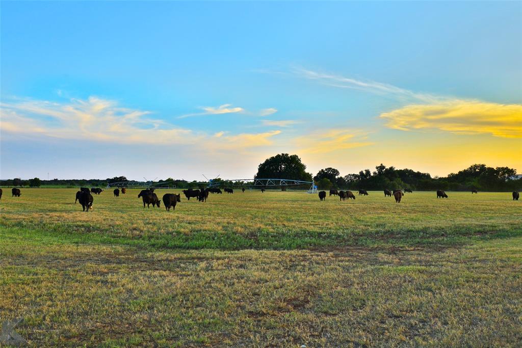 Avodah Valley Ranch - Farm