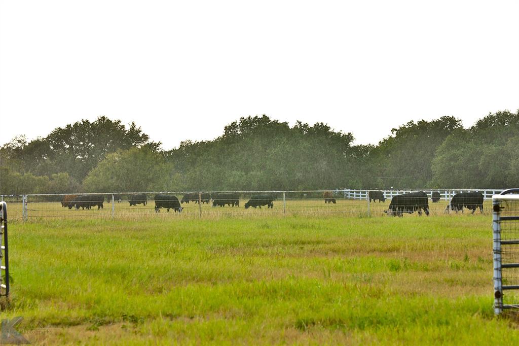 Avodah Valley Ranch - Farm