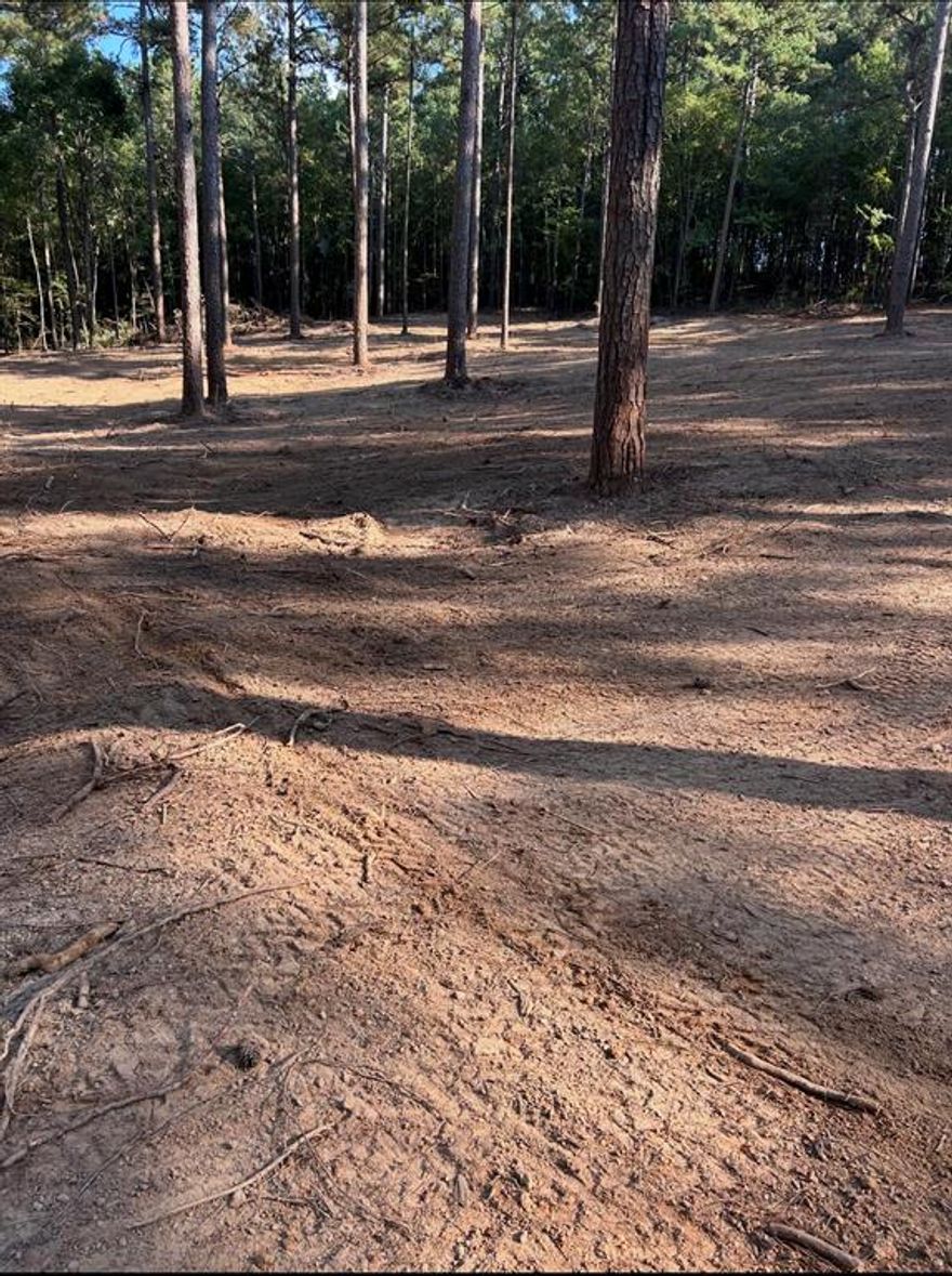 Recently cleared to help you see the vision. Lots of space, seclusion, and a spot to make your own! This 12-acre tract on Cotton Lane has the kind of privacy and peace that’s getting harder to find. Whether you're dreaming of building a home, setting up a camp, or just having room to roam—this land gives you the freedom to do it your way.

Plenty of road frontage, mature trees, and a natural buffer from neighbors. Utilities nearby. Located just minutes from town, but feels a world away. Schools, no worry! You get your pick of Minden or Homer, also you have Glenbrook and Mount Olive nearby! Options, Options, Options!

Build it. Hunt it. Work it. Or just enjoy the quiet.