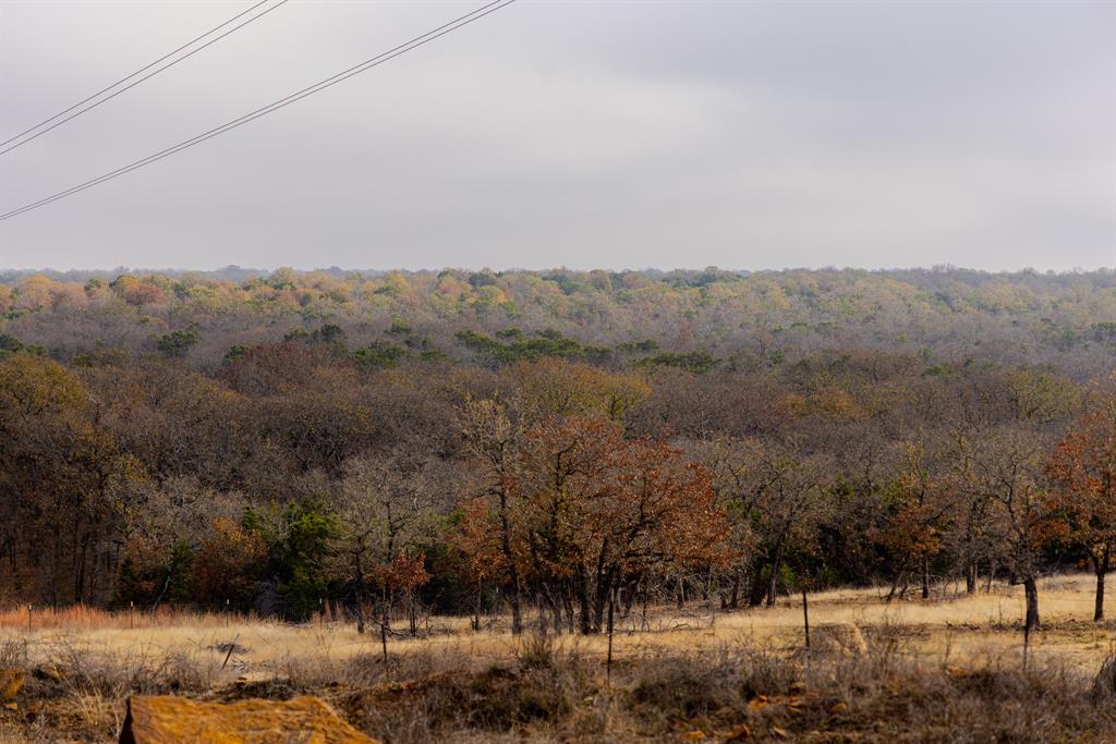 Forest Survey A-177 - Residential