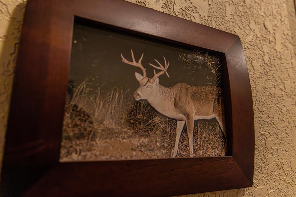 Forest Survey A-177 - Residential