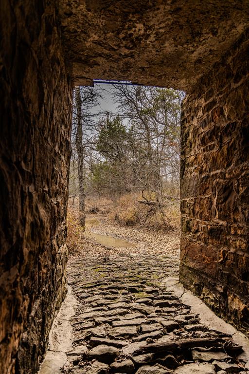 Forest Survey A-177 - Residential