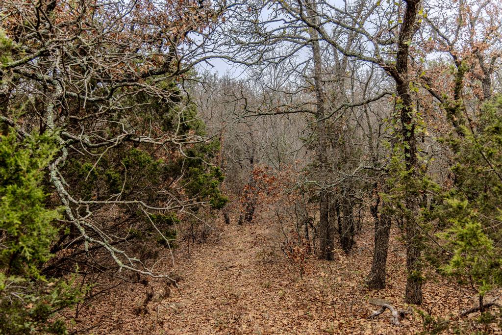 Forest Survey A-177 - Residential