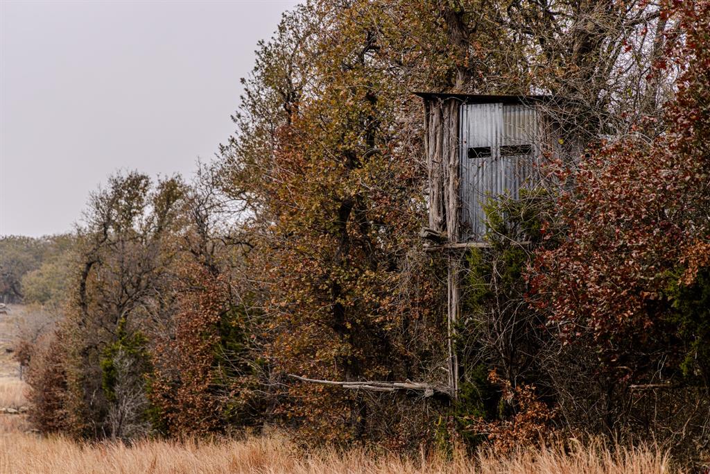 Forest Survey A-177 - Residential