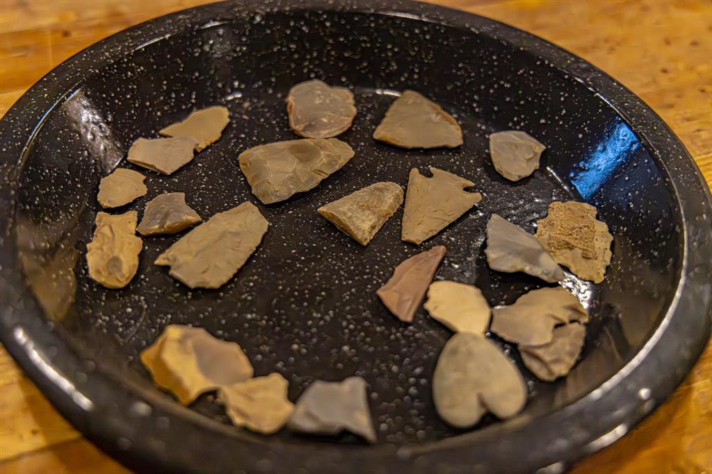 Forest Survey A-177 - Residential