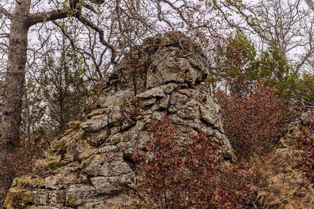 Forest Survey A-177 - Residential