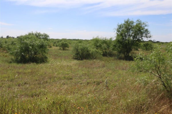 1002 COUNTY RD 215, RISING STAR, TX 76471 - Image cfb00d1c42b84e93aa9f757e3e86b9d2/920875826