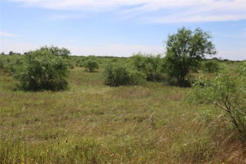Photo of 807 County Road 215, Rising Star, TX 76471 (MLS # 21286389)