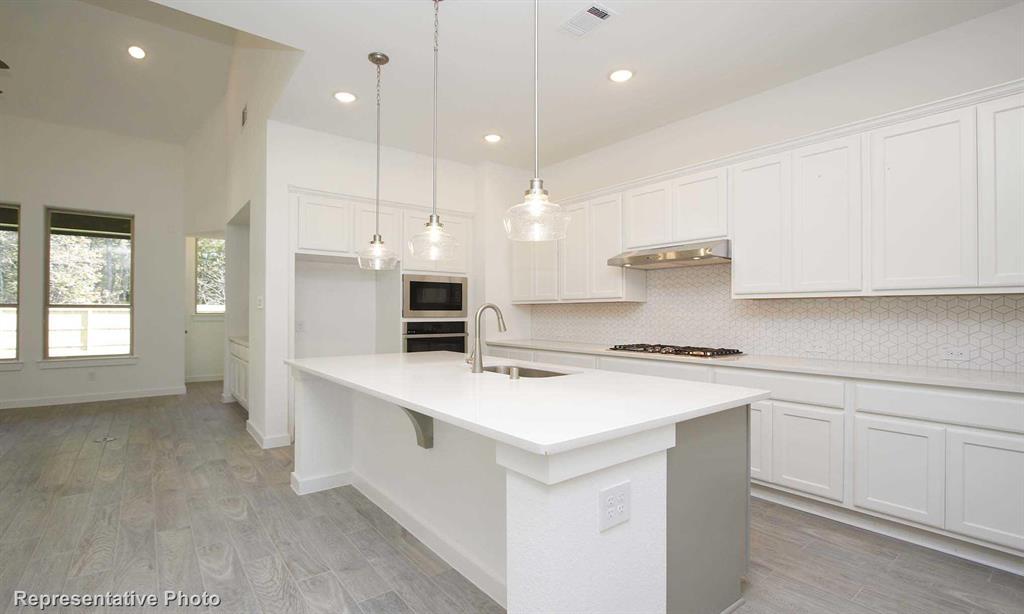 4293 Sanctuary Drive