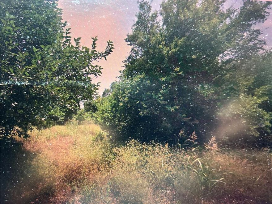 LAND ONLY!!! Residential lot (size about 50x100) inside city limits, electricity, water and city sewage available to set up, you can build on land, Great location! owner offer Rent to Own Lease Purchase program with 0 down, $145 monthly at 3 years term.