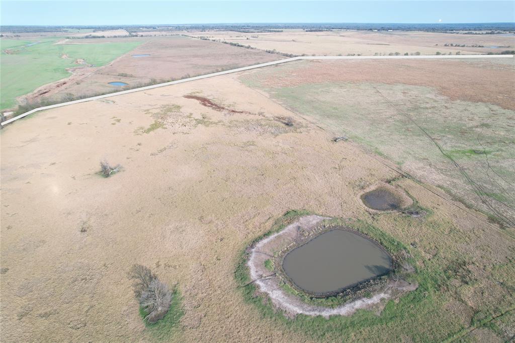 Gregoria Basquez - Farm