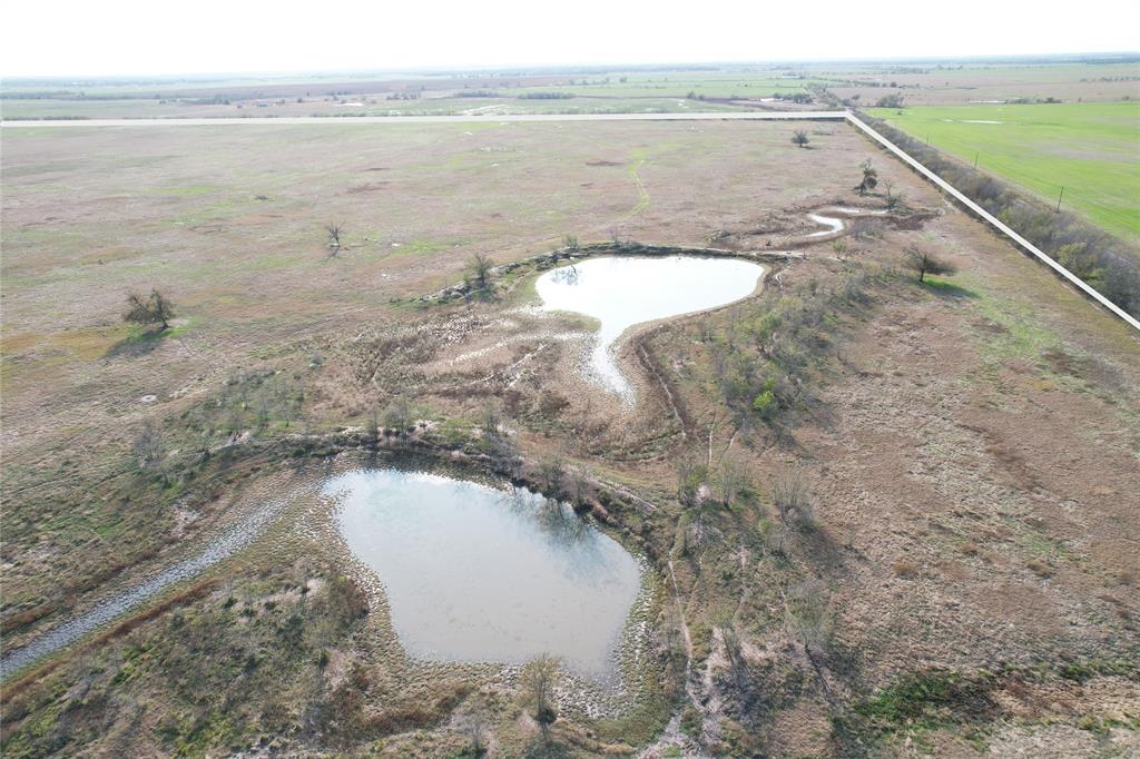 Gregoria Basquez - Farm