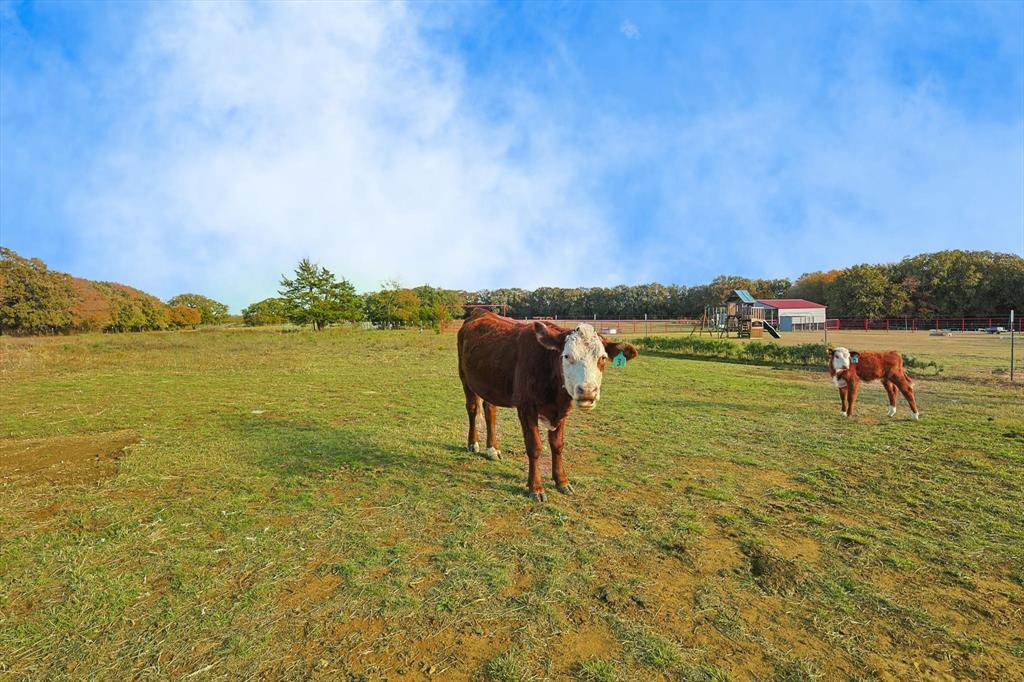 Osborne - Residential