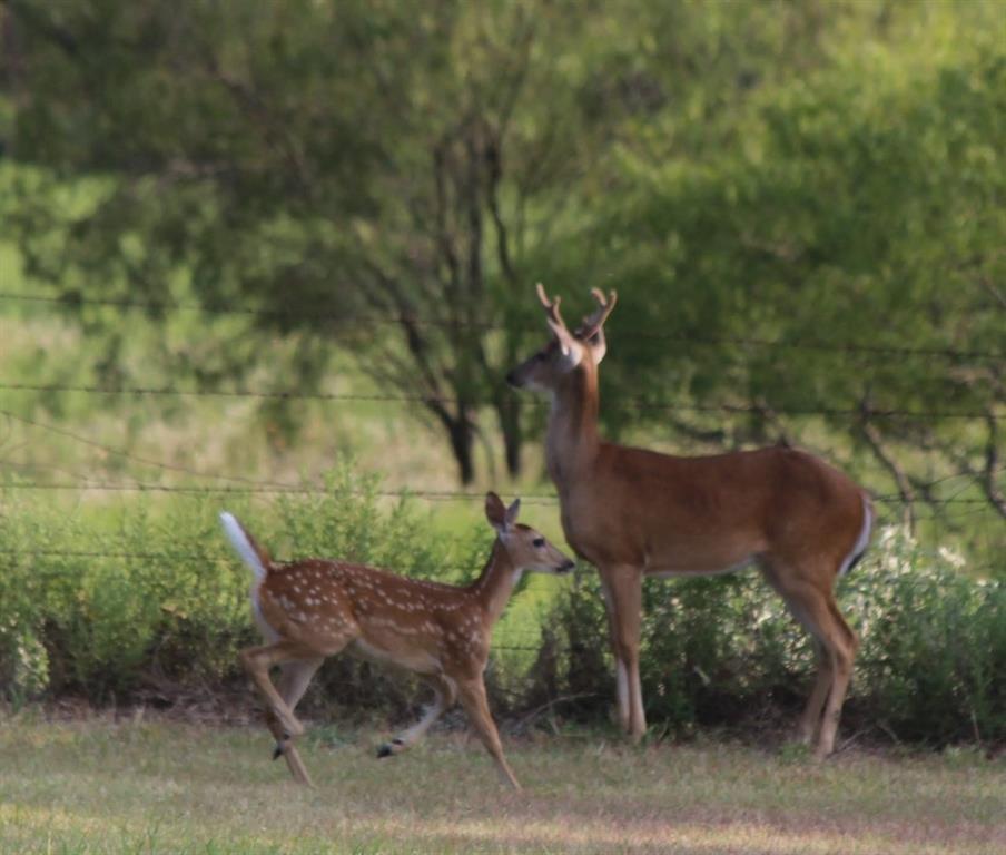 AB 1091 WA Gulledge - Residential