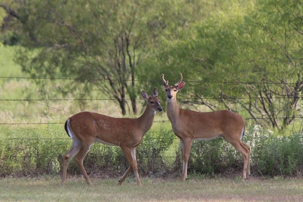 AB 1091 WA Gulledge - Residential