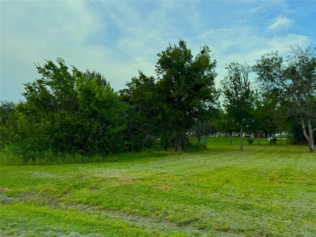 252 High Bluff Drive