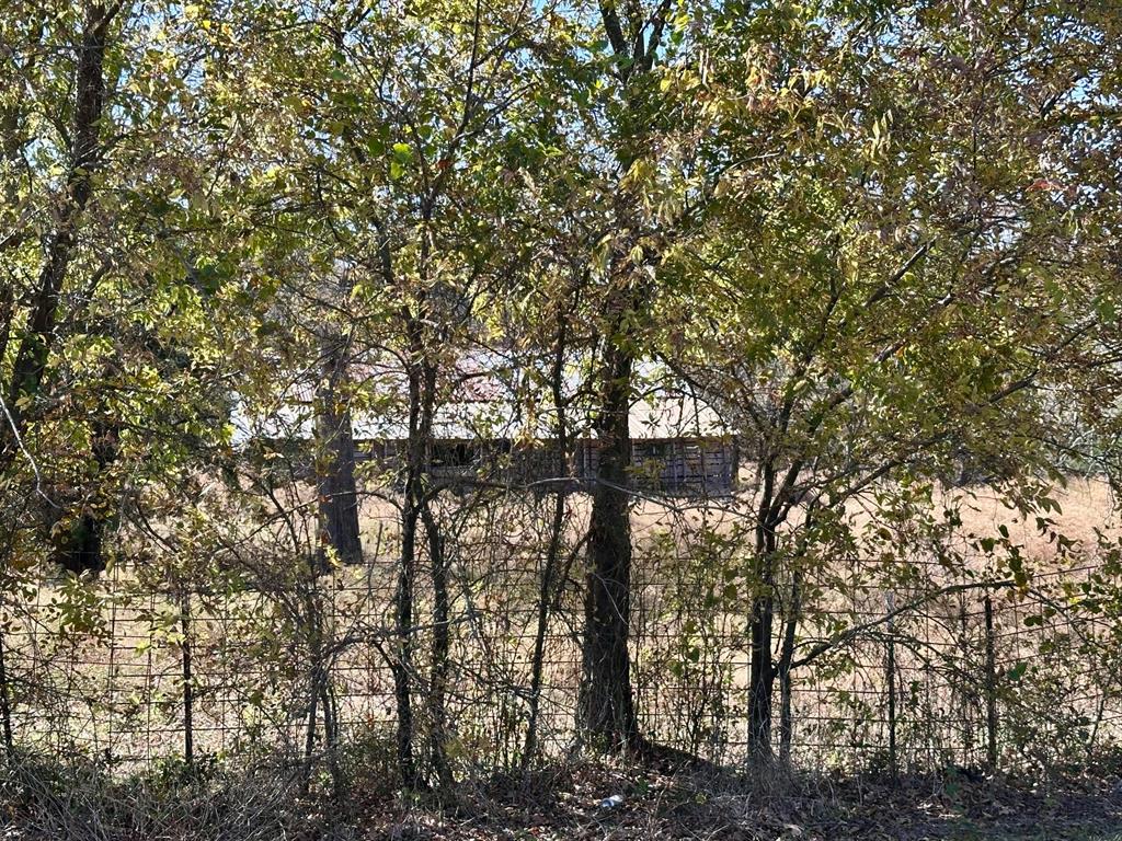 G-1001 REHORSE ELIZABETH A-G1001 - Land