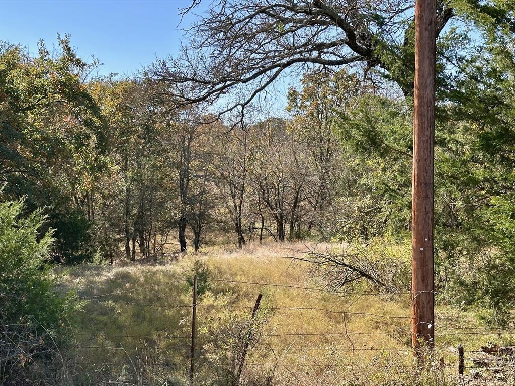 G-1001 REHORSE ELIZABETH A-G1001 - Land