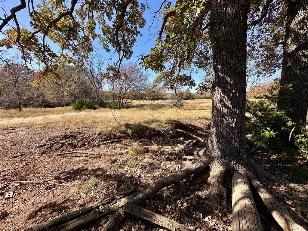 G-1001 REHORSE ELIZABETH A-G1001 - Land