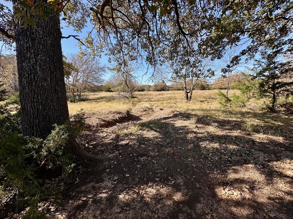 G-1001 REHORSE ELIZABETH A-G1001 - Land