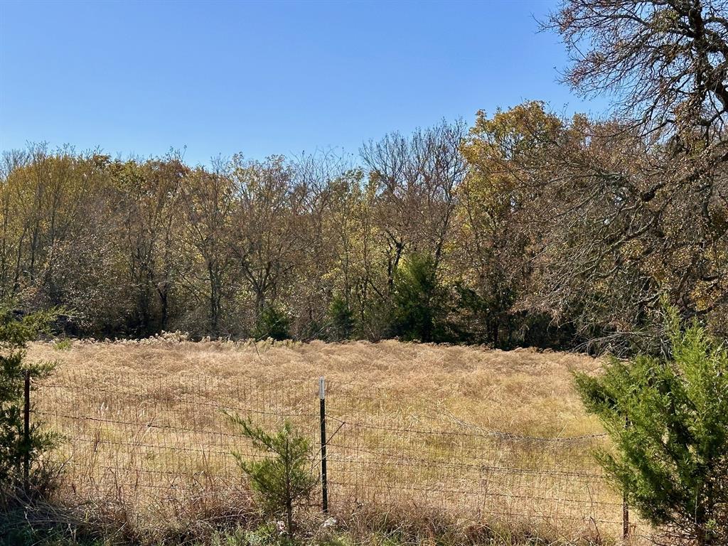 G-1001 REHORSE ELIZABETH A-G1001 - Land