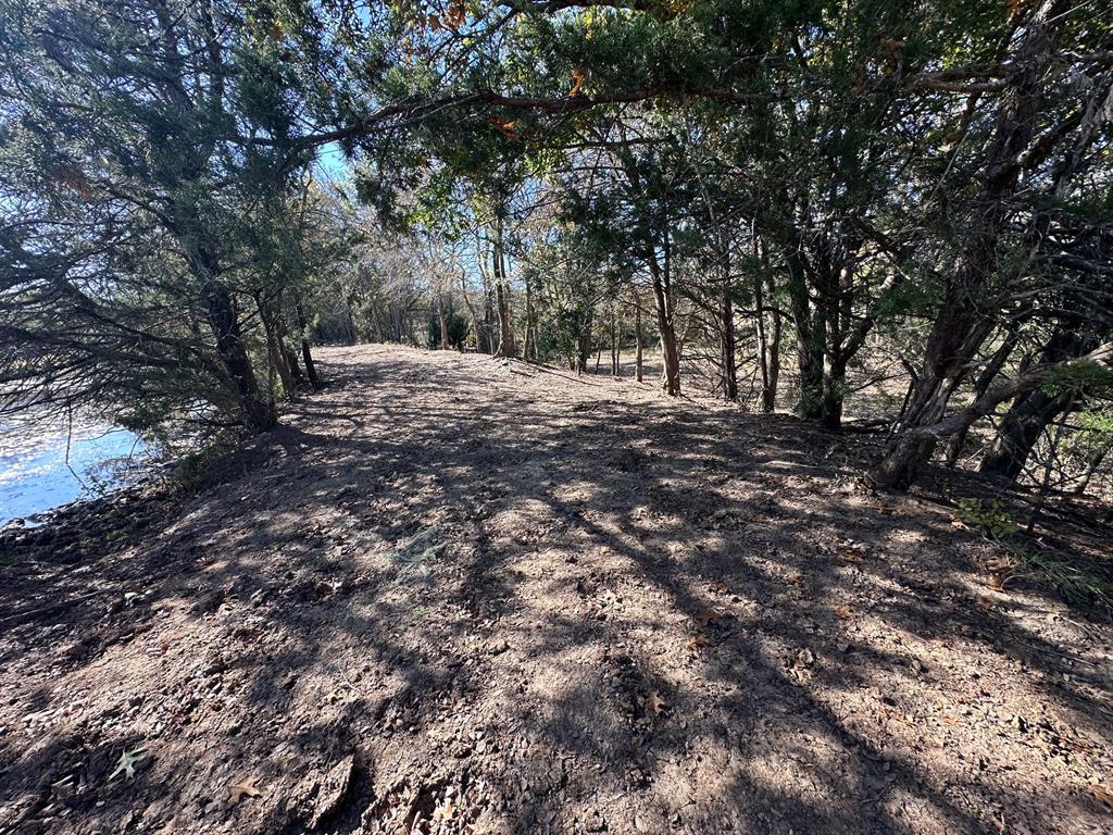 G-1001 REHORSE ELIZABETH A-G1001 - Land