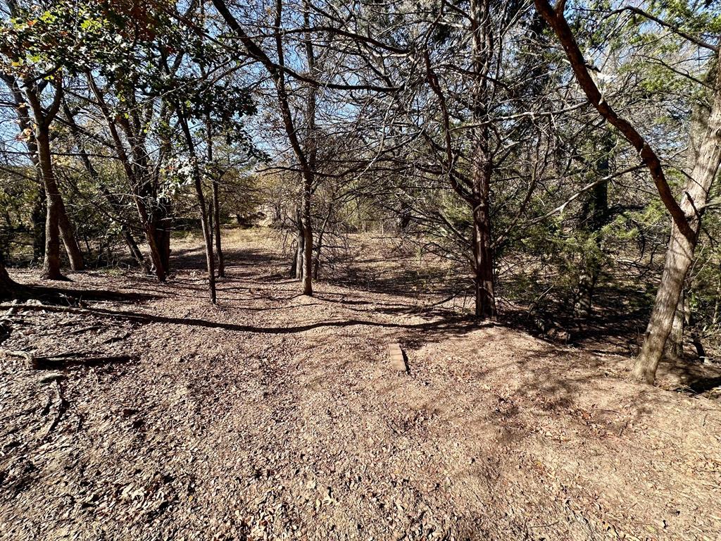 G-1001 REHORSE ELIZABETH A-G1001 - Land