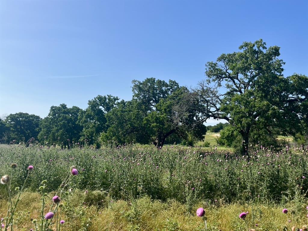 Sarra Ranch Estates - Land