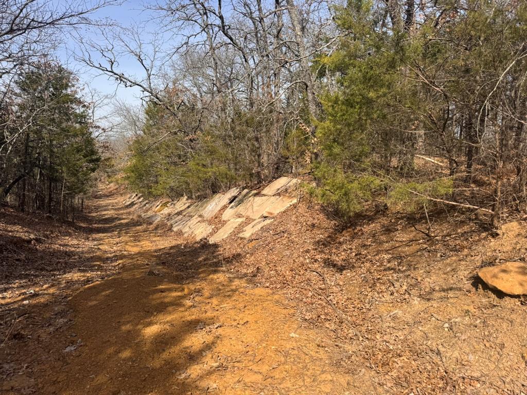 P Davis Surv Abs #335 - Land