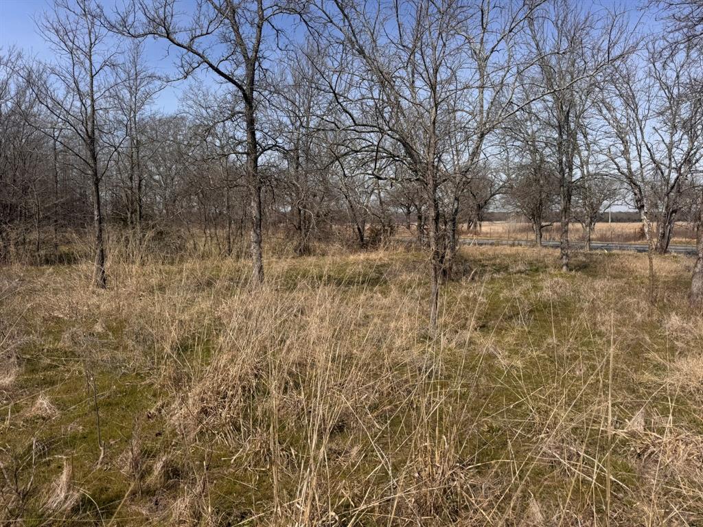 P Davis Surv Abs #335 - Land