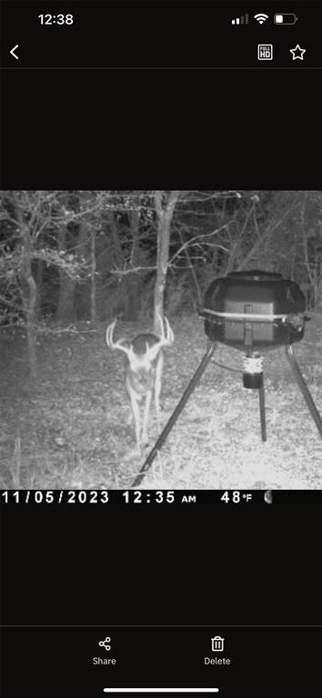 P Davis Surv Abs #335 - Land