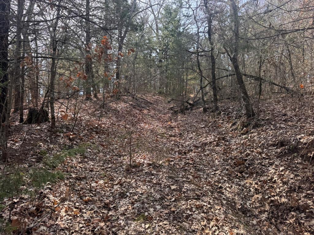 P Davis Surv Abs #335 - Land