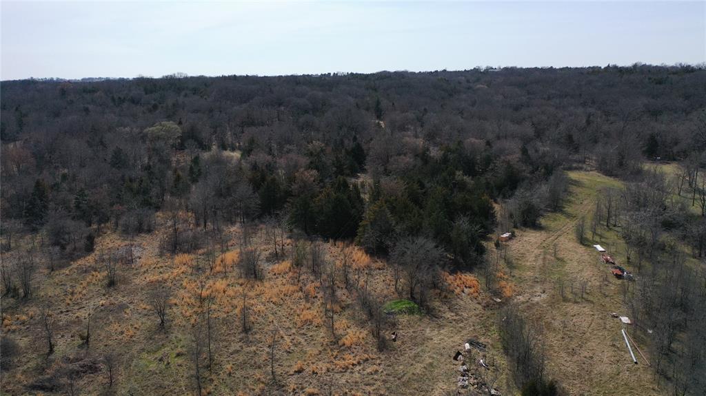 P Davis Surv Abs #335 - Land