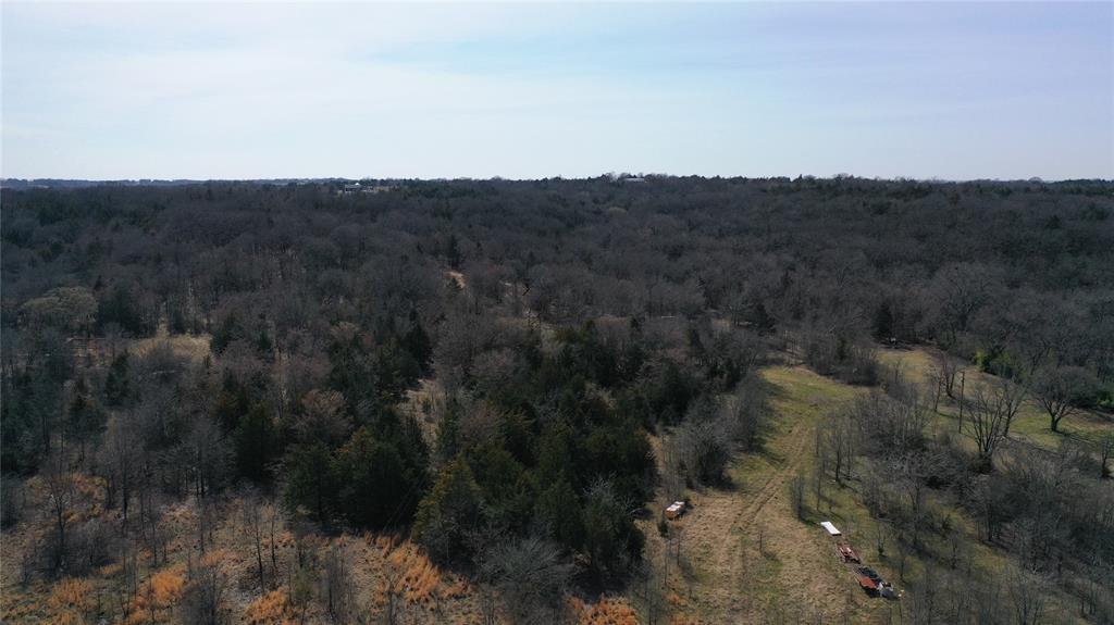 P Davis Surv Abs #335 - Land