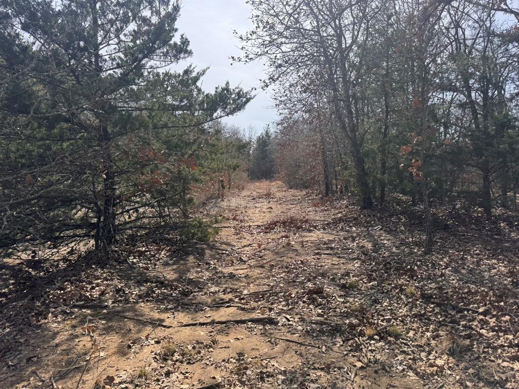 P Davis Surv Abs #335 - Land