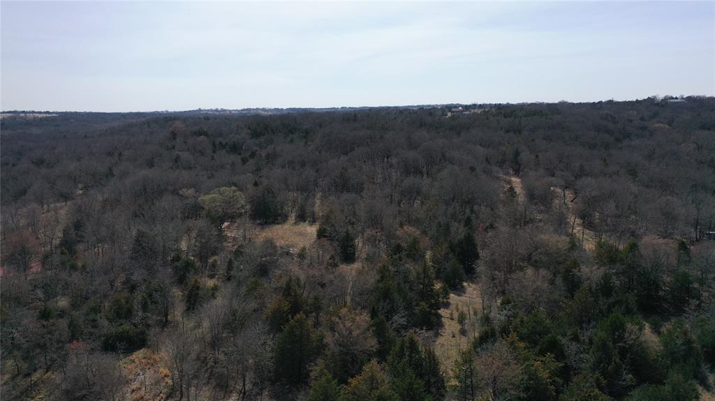 P Davis Surv Abs #335 - Land