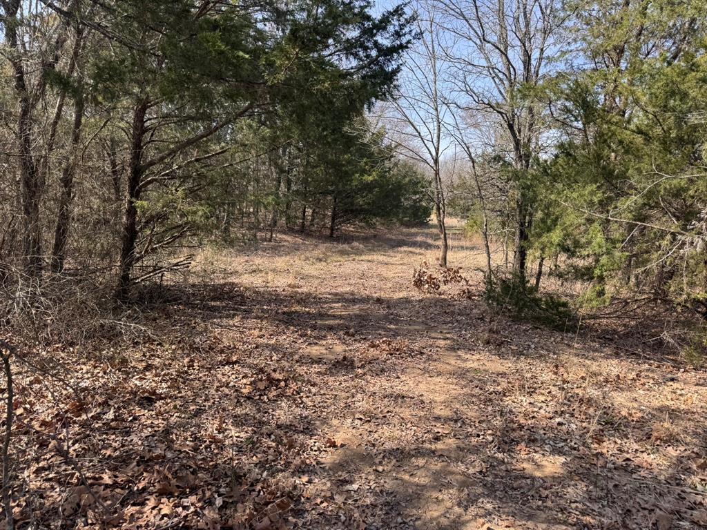 P Davis Surv Abs #335 - Land